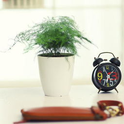 太平洋家居網(wǎng)產(chǎn)品庫 點亮家居生活的裝飾品與日用雜貨